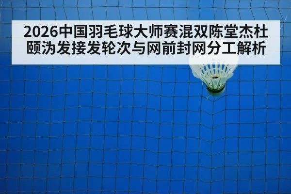 badminton net play closeup
